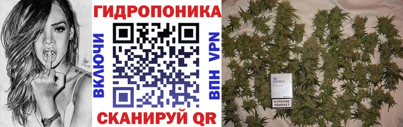 Что такое Саров Псилоцибиновые грибы  Alpha-PVP  Гашиш  МАРИХУАНА  Меф  Cocaine 