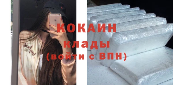 молекула духа Алексин