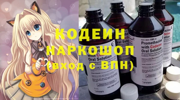 хмурый Алзамай