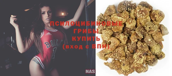 хмурый Алзамай