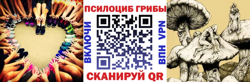 Псилоцибиновые грибы Psilocybine cubensis Саров